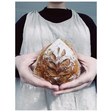 Ladda upp bild till gallerivisning, Frallor